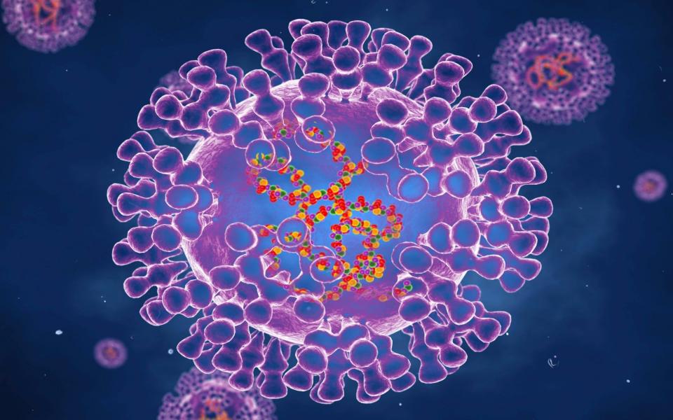 Pox viruses are oval shaped and have double-strand DNA - ROGER HARRIS/SCIENCE PHOTO LIBRARY/Science Photo Library RF