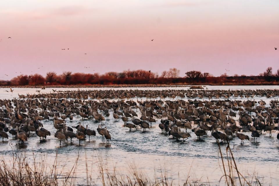 Platte River Valley, Nebraska