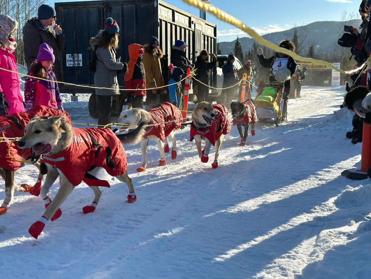 Connor McMahon at the starting line in Whitehorse at the Yukon Quest, Feb. 4.  (Caitrin Pilkington/CBC - image credit)