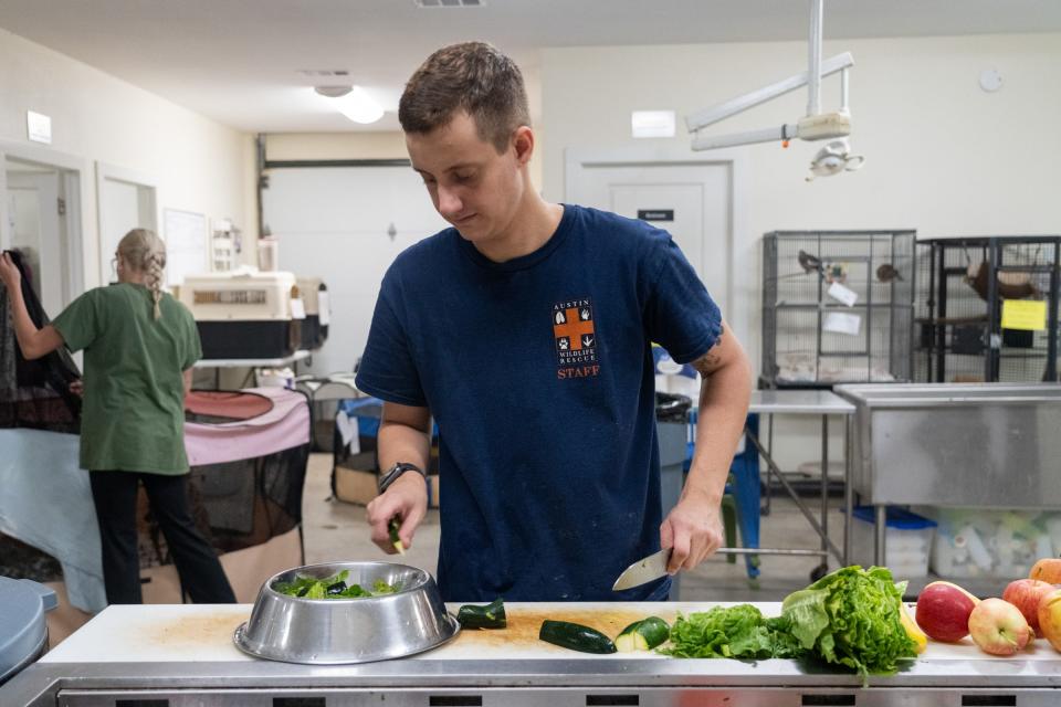 Animal care tech River Alaimo cuts vegetables to feed animals at Austin Wildlife Rescue's rehabilitation center.