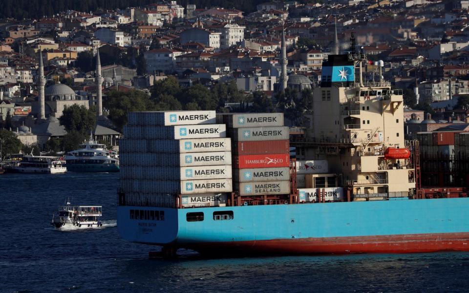 Maersk shipping Covid freight - &#xa0;REUTERS/Murad Sezer/File Photo