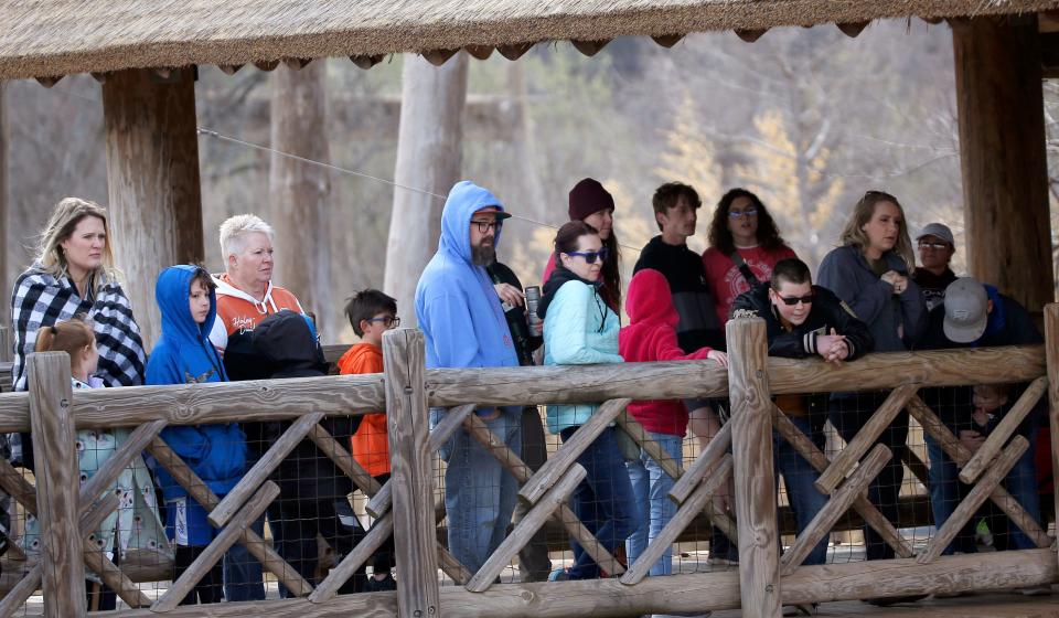 People watch Bowie, an elephant, eat in mid-March at the Oklahoma City Zoo and Botanical Garden.