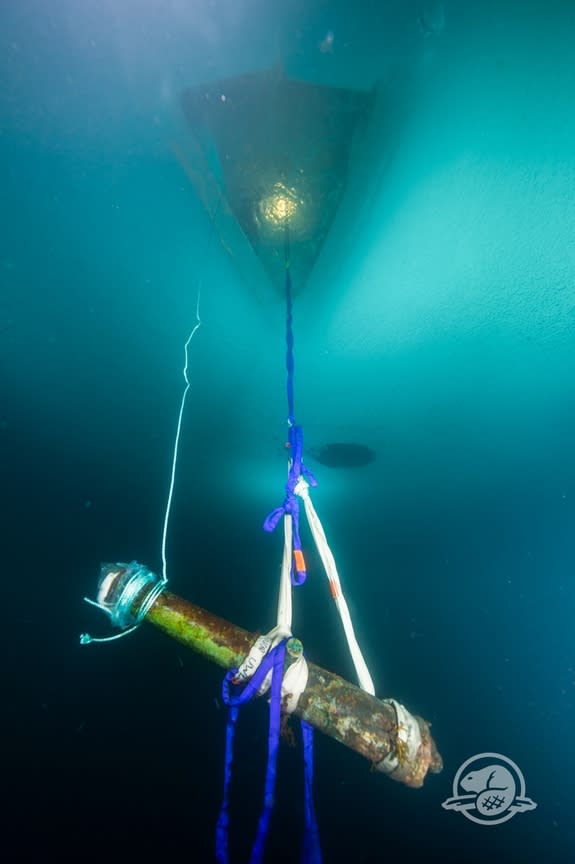 In April, archaeologists pulled this 680-pound (309 kilograms) cannon from the HMS Erebus shipwreck.