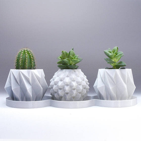 Image of succulent planters