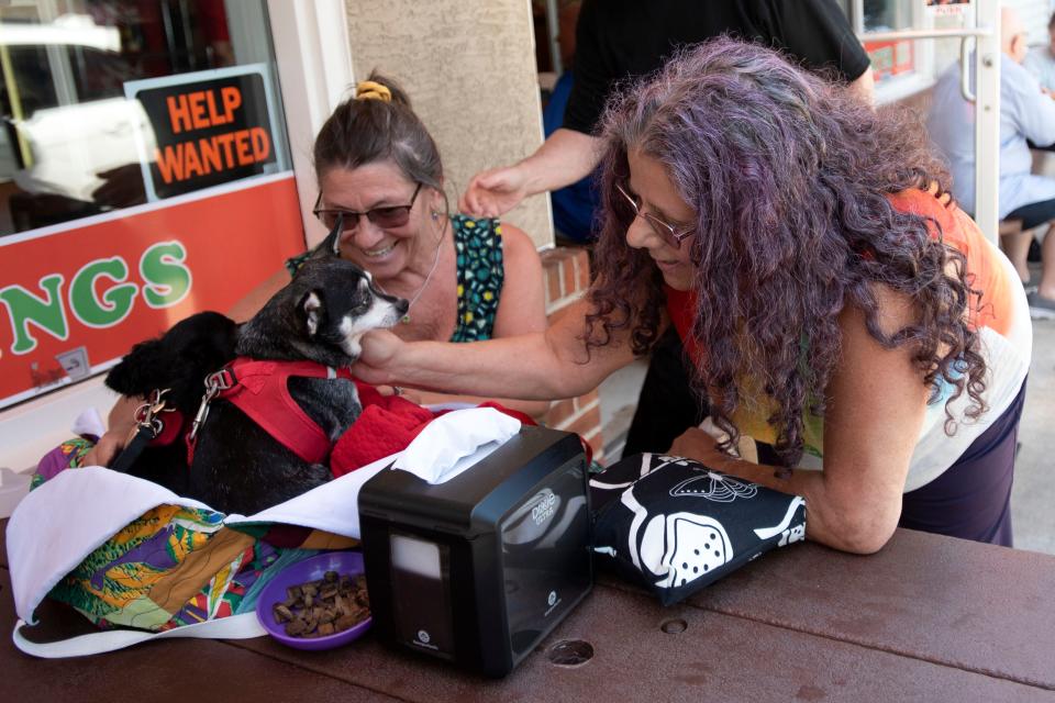 Edie Weinstein stops to pet some puppies while handing out their kindness cards to Nat's Pizza's guest Earline Griffith in Doylestown on Tuesday, July 19, 2022.