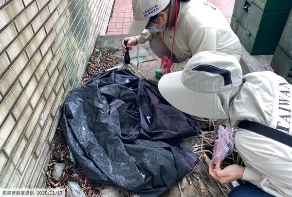 疾管署防疫人員於桃園市龜山區本土登革熱個案活動地進行孳生源查核。（圖片／疾病管制署提供）