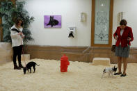 <p>Dogs look for a place to go to the bathroom in a dog spa at the Hotel Pennsylvania ahead of the 142nd Westminster Kennel Club Dog Show in midtown Manhattan, New York City, Feb. 9, 2018. (Photo: Shannon Stapleton/Reuters) </p>