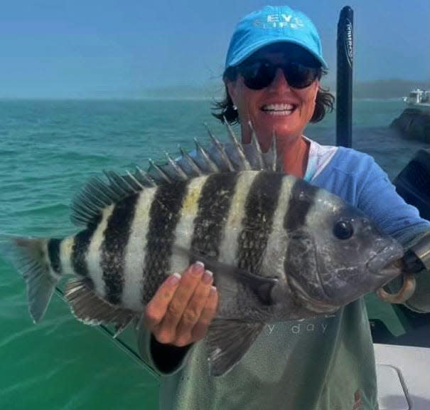 Laura Shane, of Newport Richey, caught this 21-inch sheepshead on a live shrimp while fishing structure near Egmont Key with Capt. John Gunter this week.