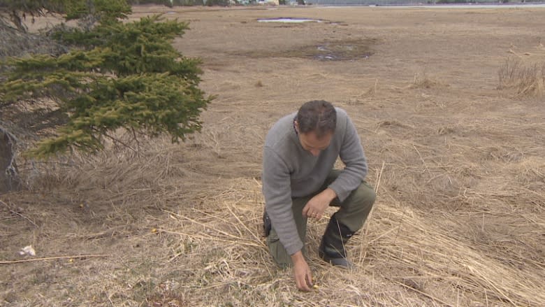 Meet the forager who brings wild food to 60 Halifax restaurants