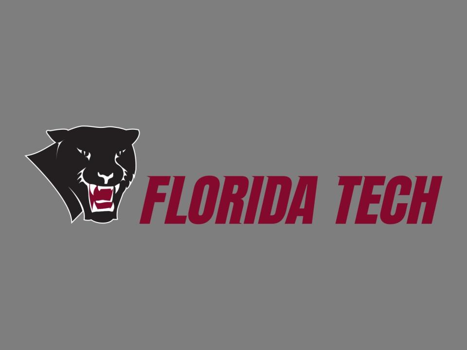 Florida Institute of Technology Panthers logo, graphic element on gray