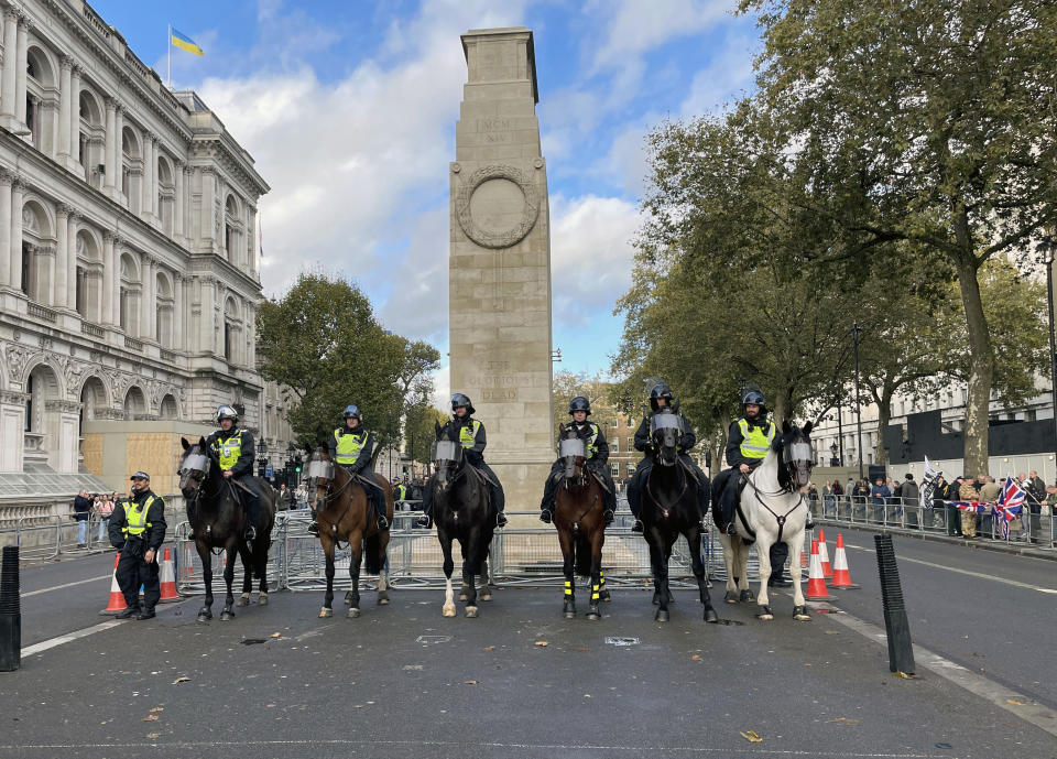 Pro-Palestinian protesters have said they won't go near the Cenotaph in Westminster during Saturday's demonstration (Getty Images)