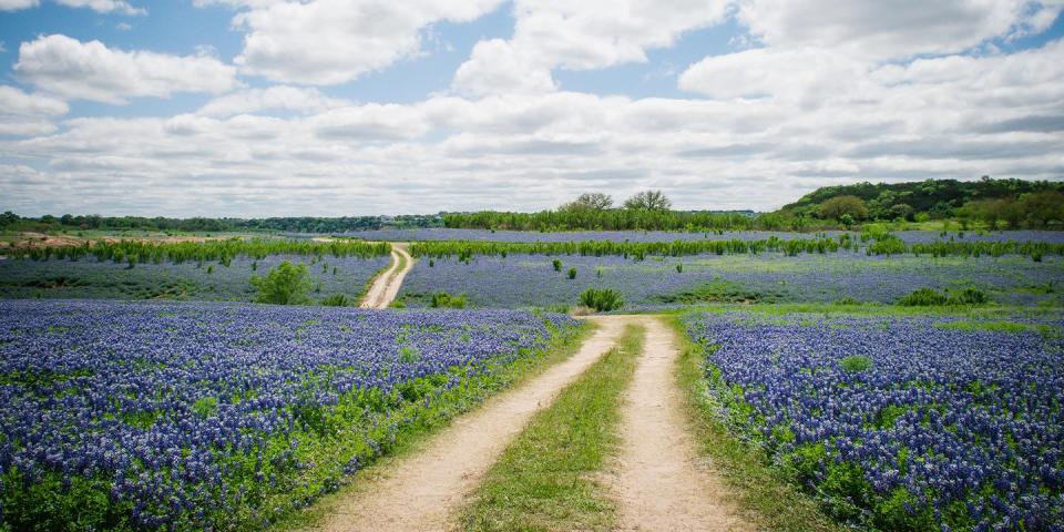 12) Take a Day Trip to Texas Hill Country
