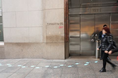 Tiffany & Co. 在環境倡議、環境慈善工作並為世界各地的陸地景觀和海洋景觀作出貢獻一直不遺餘力。 COPYRIGHT: Getty Images