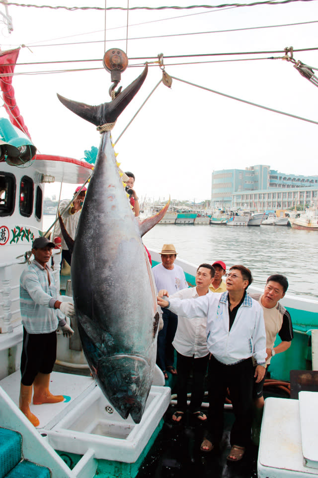 2015東港黑鮪魚文化觀光季自五月起熱鬧開展。