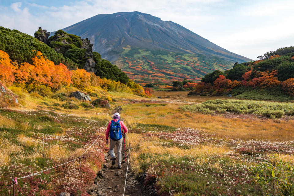 北海道大雪山旭岳由10月初便開始變色，是全日本最早睇到紅葉的地方。(Getty Images)