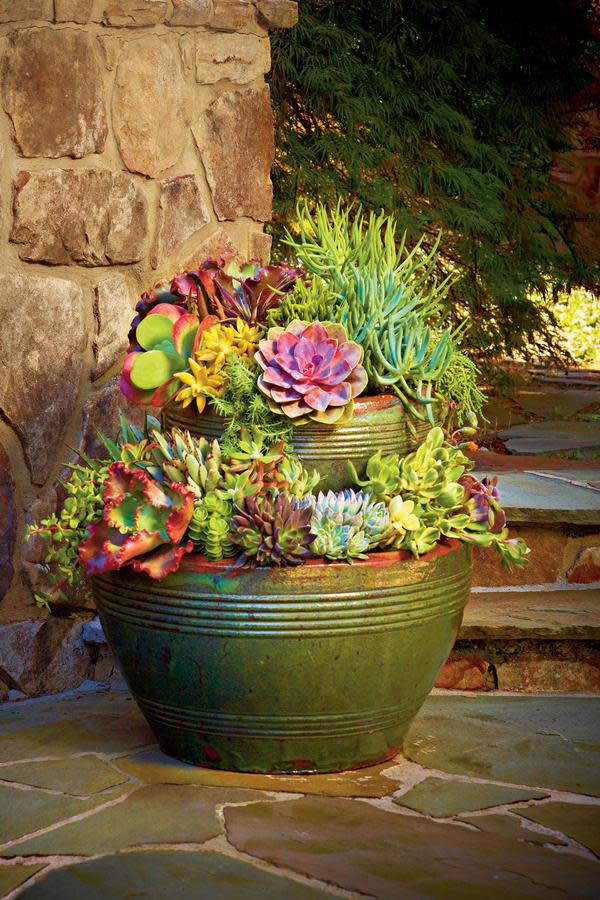 Stack Your Pots with Succulents