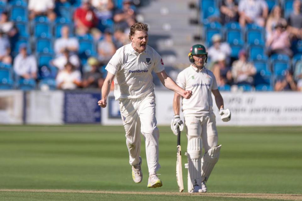 Sean Hunt celebrates a wicket as Sussex beat Leicestershire <i>(Image: Eva Gilbert/SCCC)</i>