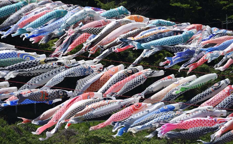 兒童之日（Photo by TORU YAMANAKA/AFP, Image Source : Getty Editorial）