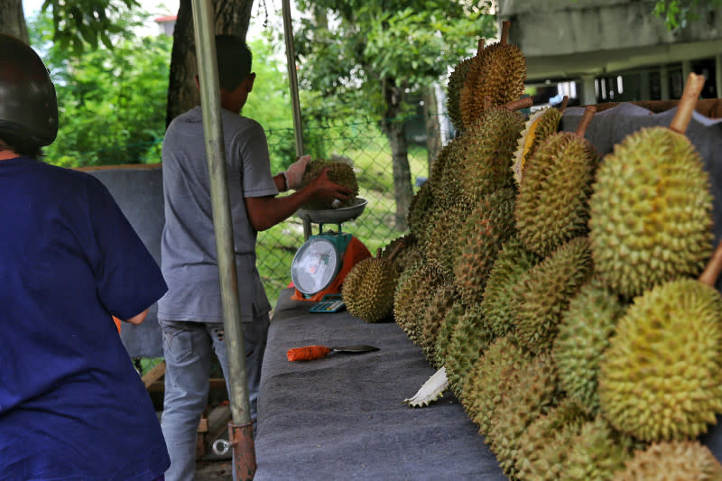 File picture of a roadside stall selling durians in Taman Kinrara, May 24, 2016. — Picture by Saw Siow Feng