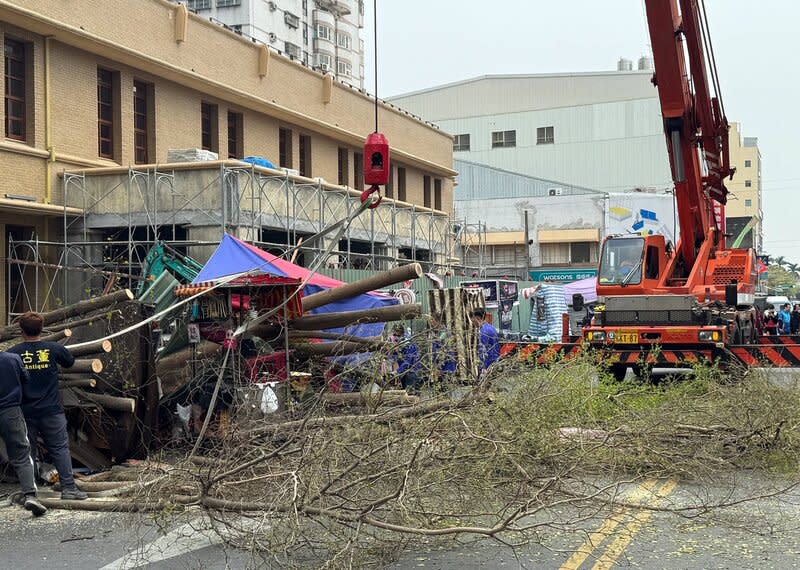 嘉市文化路郵局前樹木倒伏  幸無人傷（3） 嘉義市歷史建築文化路郵局正進行整修工程，9日下 午郵局前的小葉欖仁樹意外倒伏，所幸無人受傷，後 續出動吊車協助移除樹體枝幹。 （市議員鄭光宏提供） 中央社記者黃國芳傳真  113年3月9日 