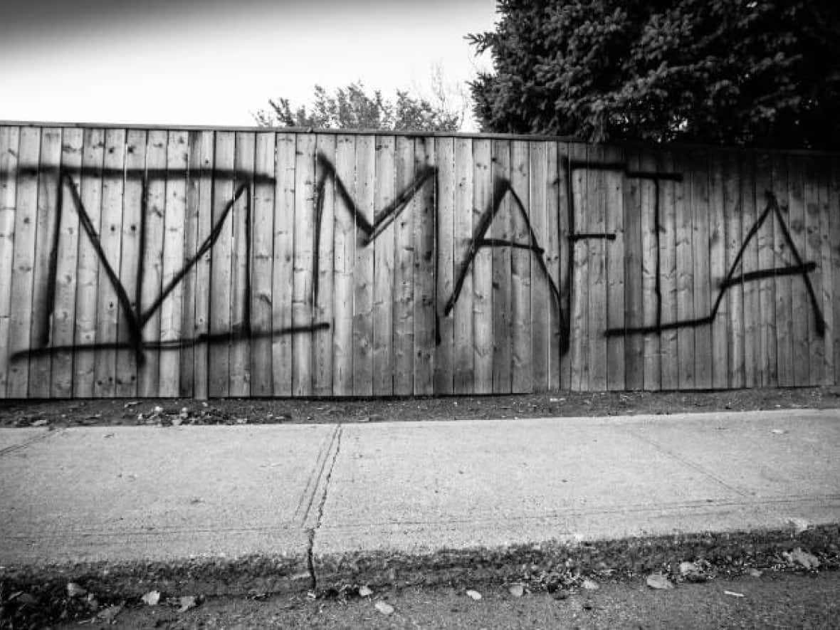 Indian Mafia graffiti on a Regina fence. (Matt Howard/CBC - image credit)