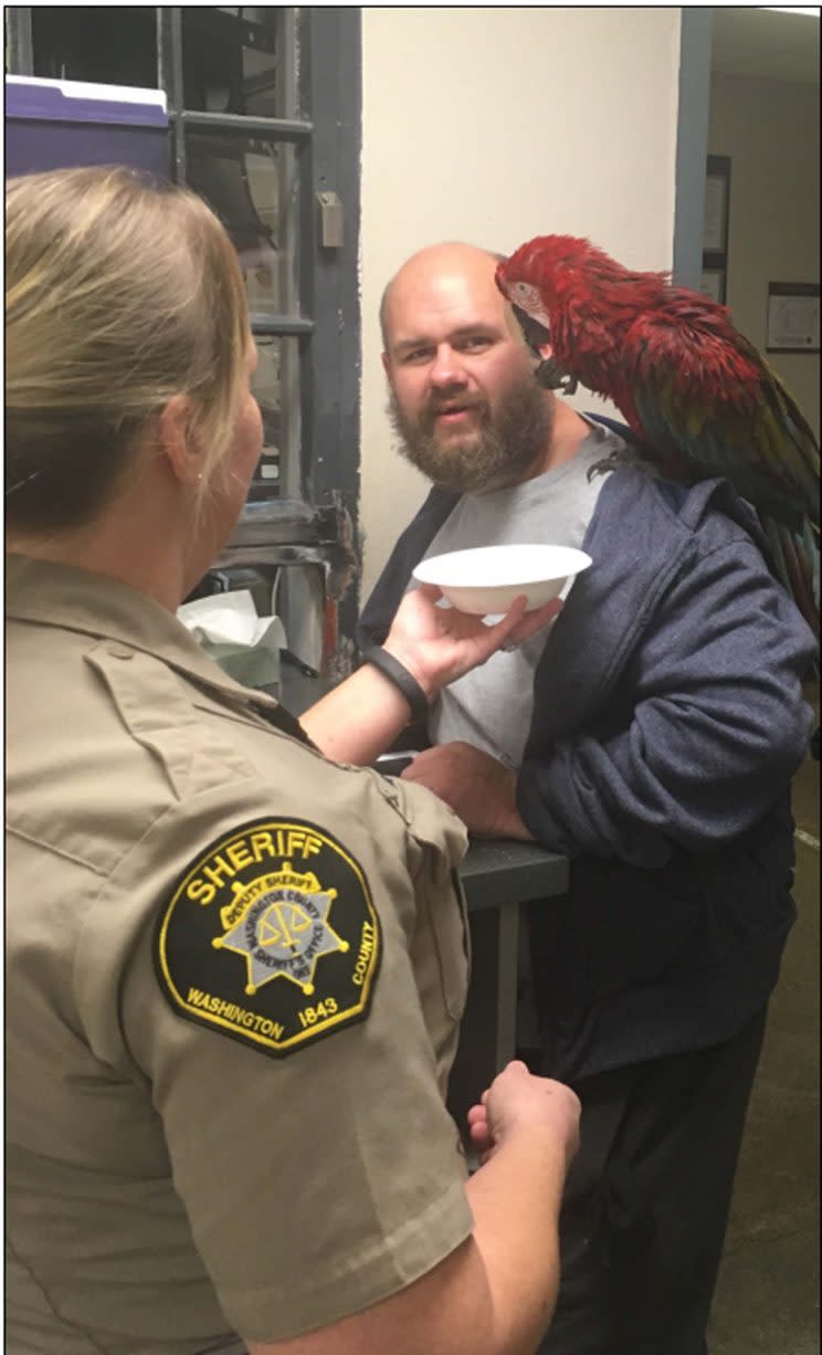 A man's pet macaw was allowed to pose with him in his unusual mugshot