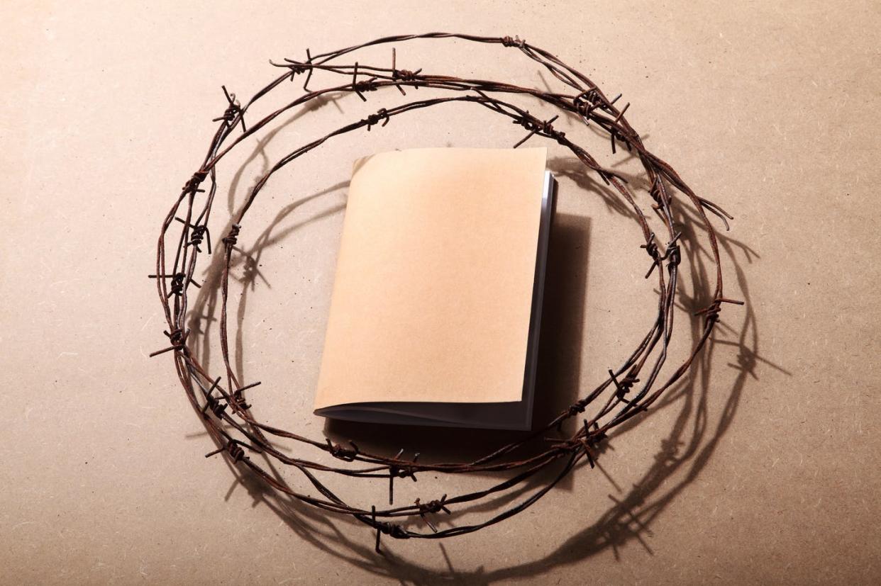 Books are often targeted when they are sympathetic to the oppressed. <a href="https://www.gettyimages.com/detail/photo/high-angle-view-of-barbed-wire-with-blank-book-on-royalty-free-image/1158402405?adppopup=true" rel="nofollow noopener" target="_blank" data-ylk="slk:Eskay Lim / EyeEm via Getty Images;elm:context_link;itc:0;sec:content-canvas" class="link ">Eskay Lim / EyeEm via Getty Images</a>