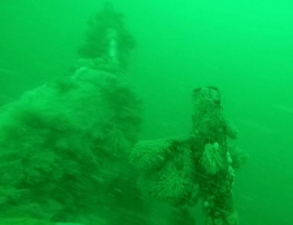 The U-boat wreck is now entirely covered with weeds, anemones and barnacles after almost 100 years on the seafloor. <cite>Tomas Termote</cite>