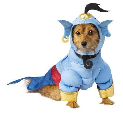 Aladdin Genie Pet Costume