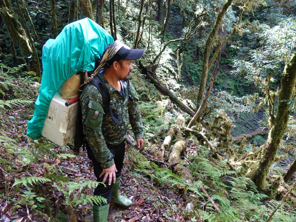 小高揹著團隊的行囊，帶隊在大分山上找尋黑熊排遺，也同時叮嚀人員注意安全。