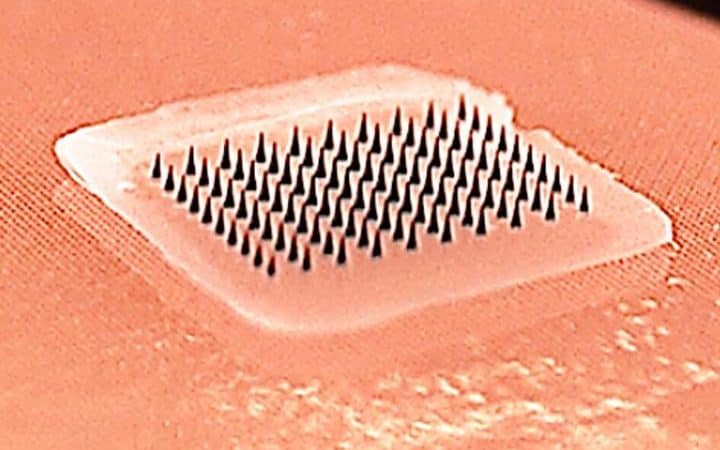 The patch has tiny microneedles which penetrate the skin painlessly and deliver the vaccination in just a few minutes  - Credit: Georgia Tech