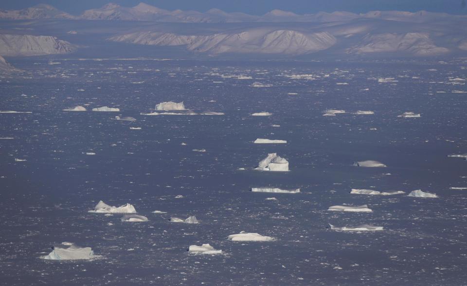 Scientists who revealed cause of 'great dying' mass extinction call for action to halt climate change