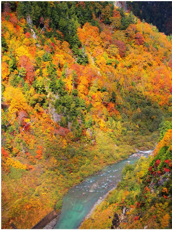 日本立山黑部阿爾卑斯山脈路線