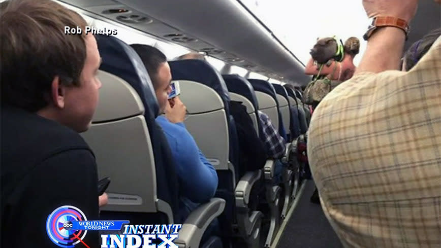 A pig and its owner were taken off a flight. Photo: ABC News