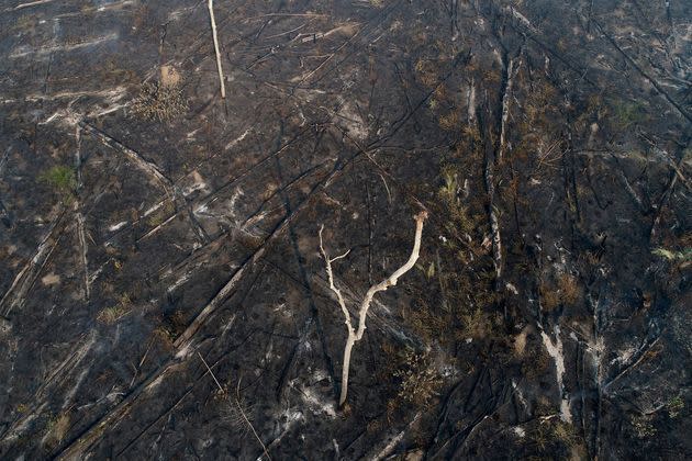 <p>Les incendies en Amazonie sont la conséquence directe de la déforestation, des agriculteurs pratiquant le brûlis sur des aires déboisées pour y faire paître du bétail. Les hommes du ministère brésilien de l'Environnement tentent d'arrêter ces feux. </p>