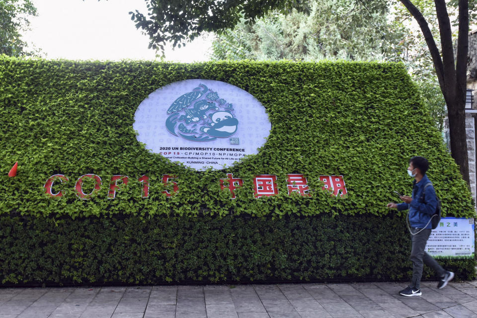 A man passes by a floral decoration celebrating the U.N. Biodiversity Conference (COP 15) in a park in Kunming, the host city, in southwestern China's Yunnan province Saturday, Oct. 2, 2021. China has pledged $230 million to establish a fund to protect biodiversity in developing countries. President Xi Jinping made the announcement at a U.N. conference on biodiversity held on Tuesday, Oct. 12, 2021 in Kunming, China. (Chinatopix via AP)