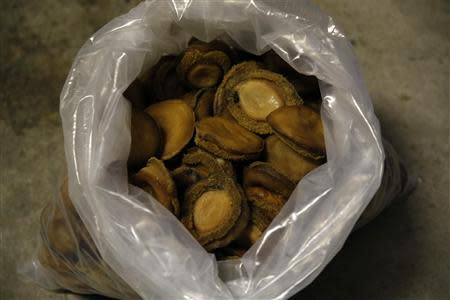 A bag of dried abalone confiscated from suspected poachers is seen in Cape Town March 13, 2014. REUTERS/Mike Hutchings