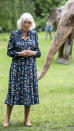 <p> Queen Camilla wore one of her favourite dresses adorned with colourful feathers for a visit to an elephant-themed literacy event, which saw her perform a reading among a herd of 100 life-sized elephant sculptures in St James Park. </p>