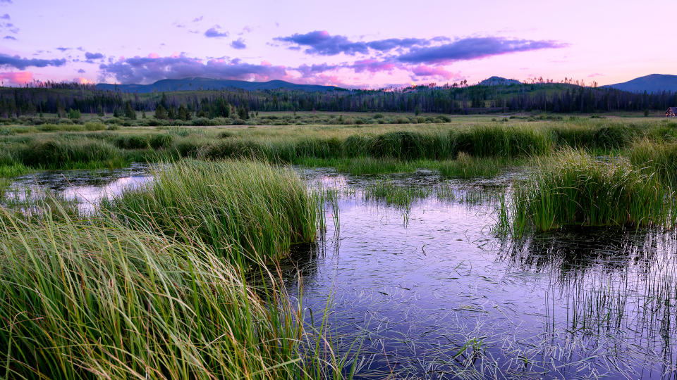 Sunset over wetland area, Fraser Valley, Colorado - Image.