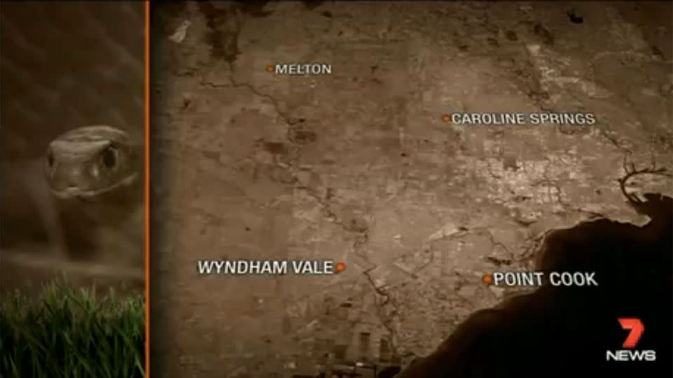 The majority of the snake sightings were in Point Cook, Wyndham Vale, Caroline Springs and Melton. Photo: 7 News