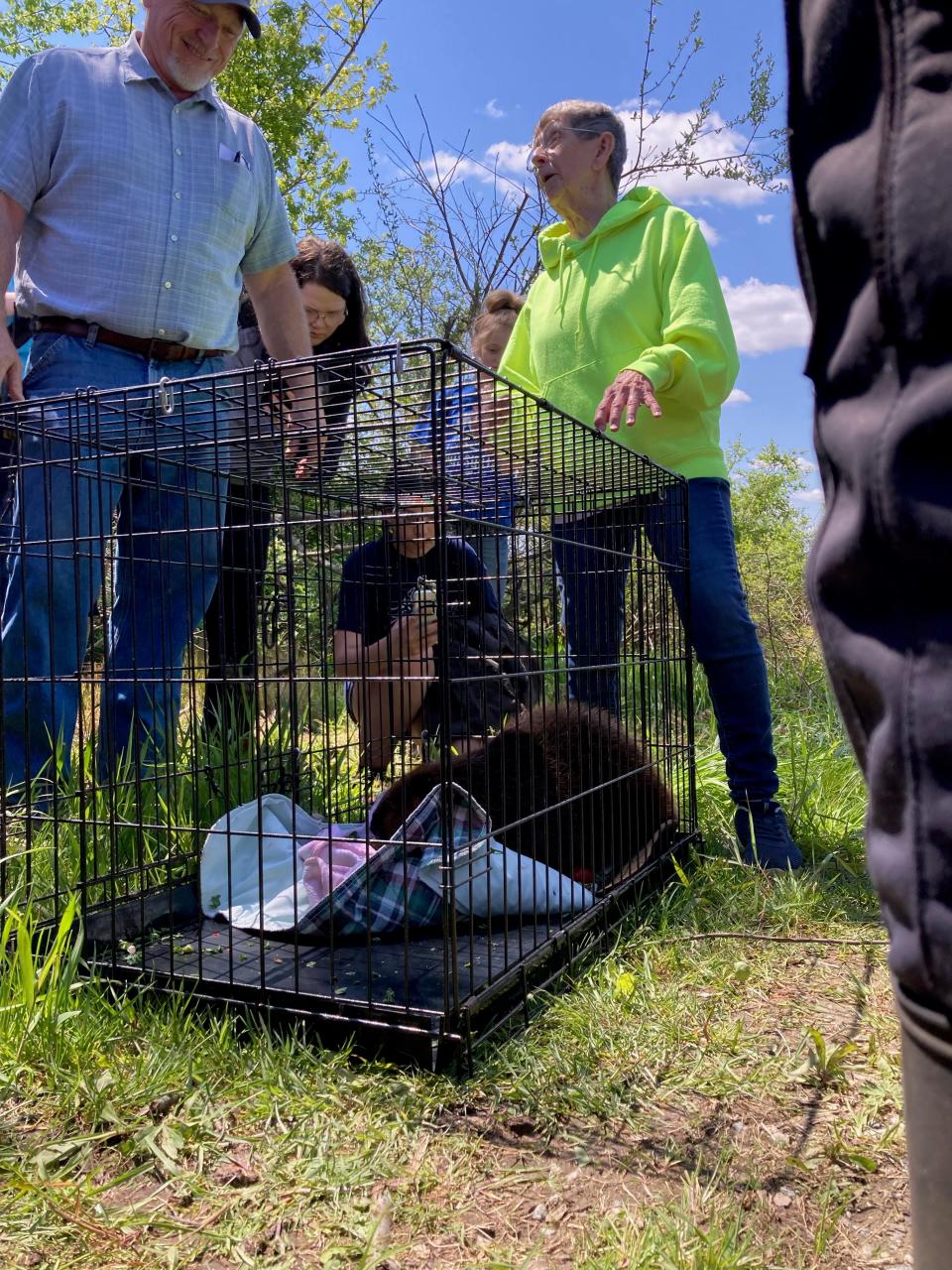 Wildlife rehabilitator Fran Kitchen, right, and Edgewood seventh grade science teacher Jim Figley, left, let students get an up-close view of the beaver that was later released into the wild at the Killbuck Marsh Wildlife Area.