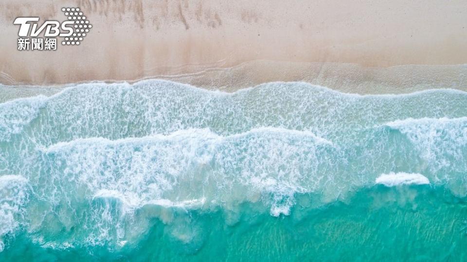 英男與妻在海灘散步發現巨型水母。（示意圖／shutterstock達志影像）