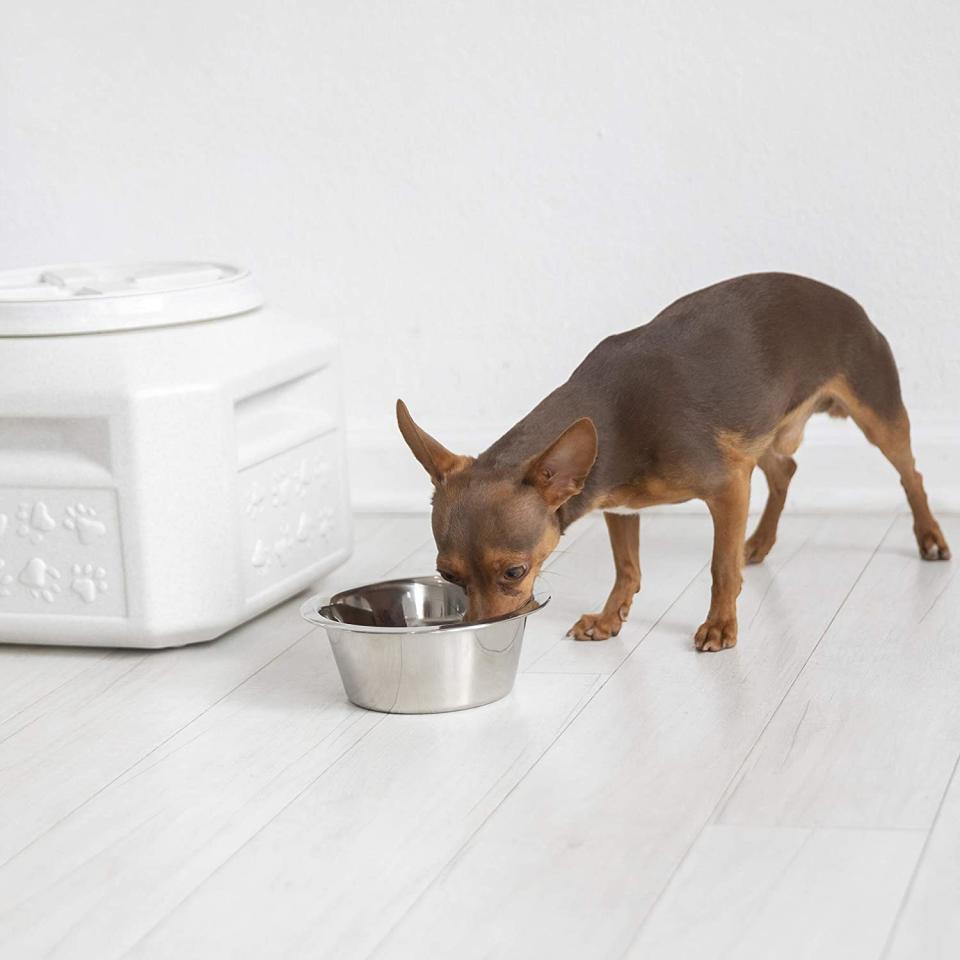 Gamma2 Vittles Vault Plus para almacenamiento de alimentos para mascotas, Gris, 15 lb/Amazon.com.mx