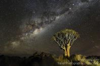 Namib desert, Namibia <br><br>Marsel van Oosten, Netherlands<br><br>Camera: Nikon D3S <br><br>Winner, Wild Planet portfolio<br><br>Marsel van Oosten’s stunning images of the Namibian night sky won the Dutch photographer the Wild Planet portfolio category, and a prize of a tailormade trip to Kenya with adventure travel experts Explore, plus Adobe Photoshop CS6 software.
