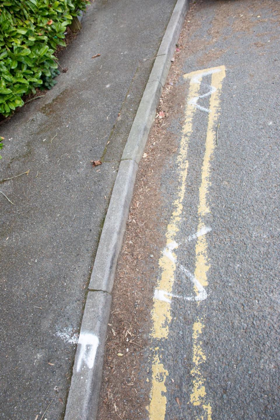 Online documents proved the yellow lines outside his shop were in the wrong place. (SWNS)