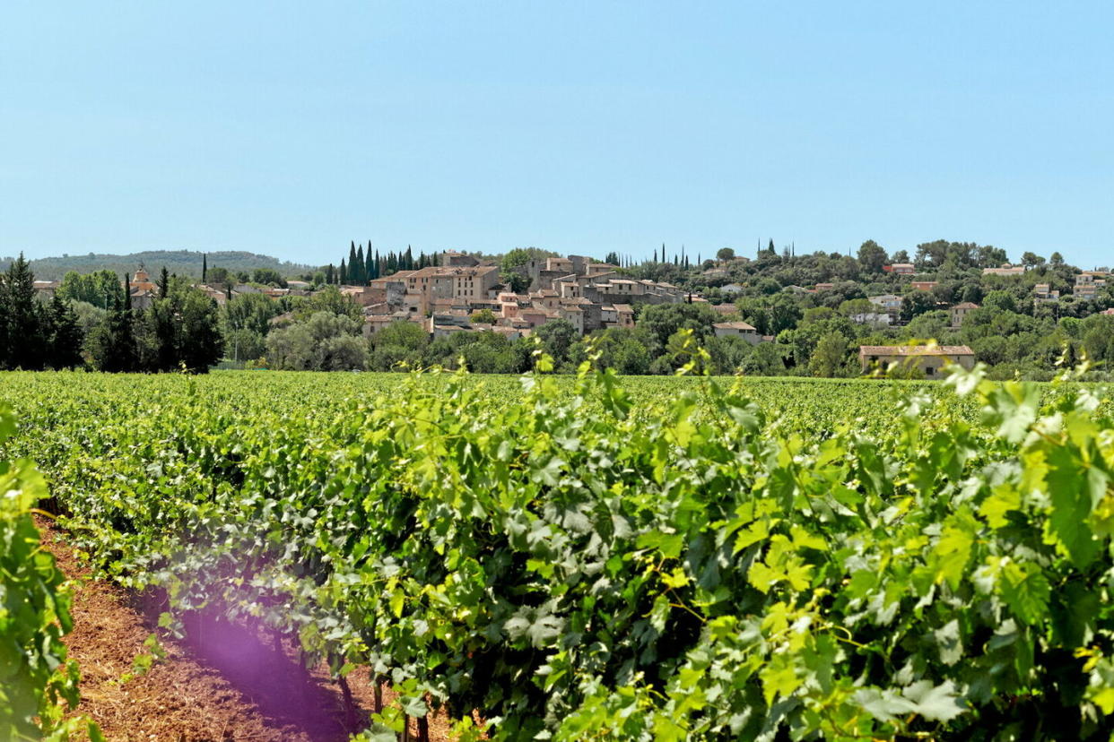 Les coteaux-d'aix-en-provence et les coteaux-varois tendent à axer leur communication sur la notion de terroir.  - Credit:Dr Manifestes - Clémence-Louise Biau