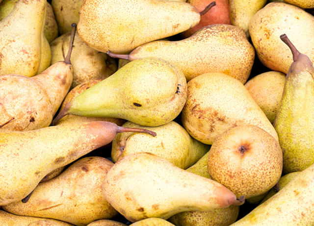 14 Different Types of Pears With Pictures - Only Foods