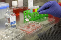 In this Wednesday, Jan. 15, 2020, photo, scientist and study director Jennifer Molignano uses forceps to transfer living human skin tissue to plates with saline solution, below left, in preparation for ultraviolet B exposure, while demonstrating an experiment created to evaluate the effects on skin of ultraviolet B rays, a simulation of skin tissue exposure to sunlight, at a MatTek Corporation lab, in Ashland, Mass. (AP Photo/Steven Senne)