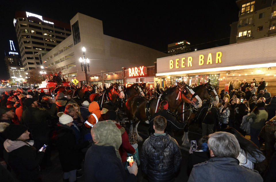 Budweiser's iconic Clydesdales walk in a procession, Wednesday, Oct. 30, 2019, in Salt Lake City, to celebrate the changing beer laws in the state. (Francisco Kjolseth/The Salt Lake Tribune via AP)