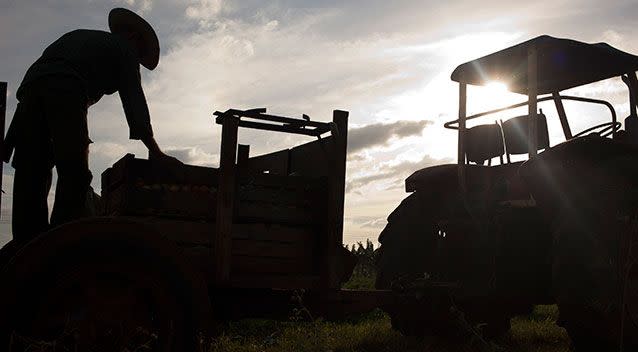 For the third year running, forestry, fishing and agriculture was named Australia's most dangerous industry to work in. File pic. Source: AAP